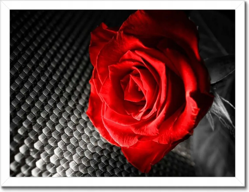 Poszterek keretben 40x30 Piros a szürke között