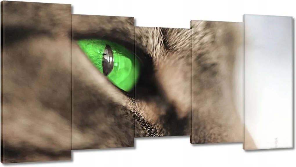 Festmények 150x80 Macska tekintet