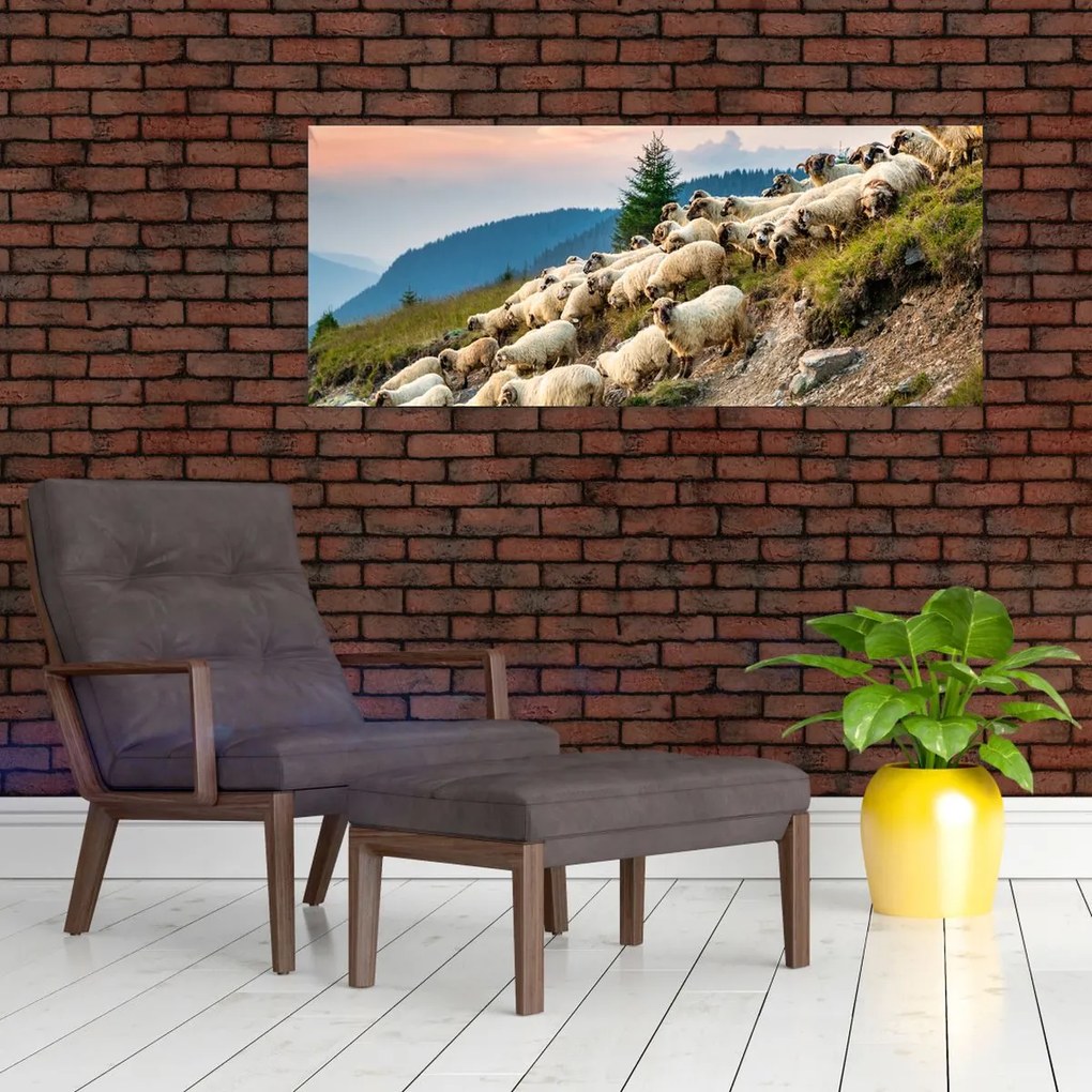 Kép - Egy nyáj birka (120x50 cm)