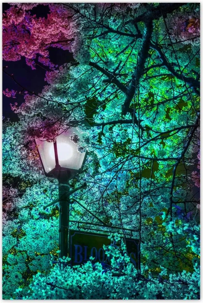 Poszterek 80x120 Éjszakai motívum a konyhába