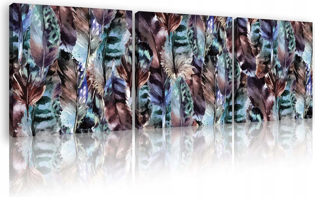 Vászonkép 75x25 Tollak textúra természet repülés szabadság könnyedség absztrakt minta