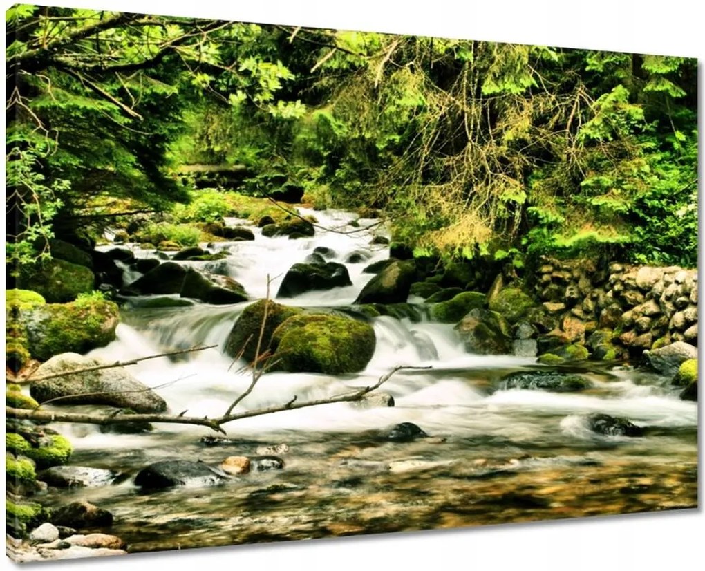 Vászonkép 70x50 Folyó a Tátrában