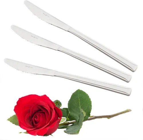 Asztali Kés Kpl. 6db Erica Evőeszköz Szépen Csillogó La Torre Olasz