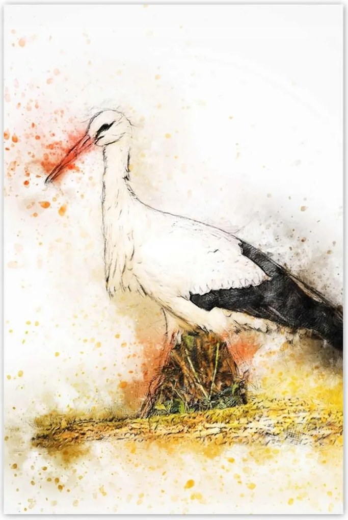 Poszterek 60x90 Gólya