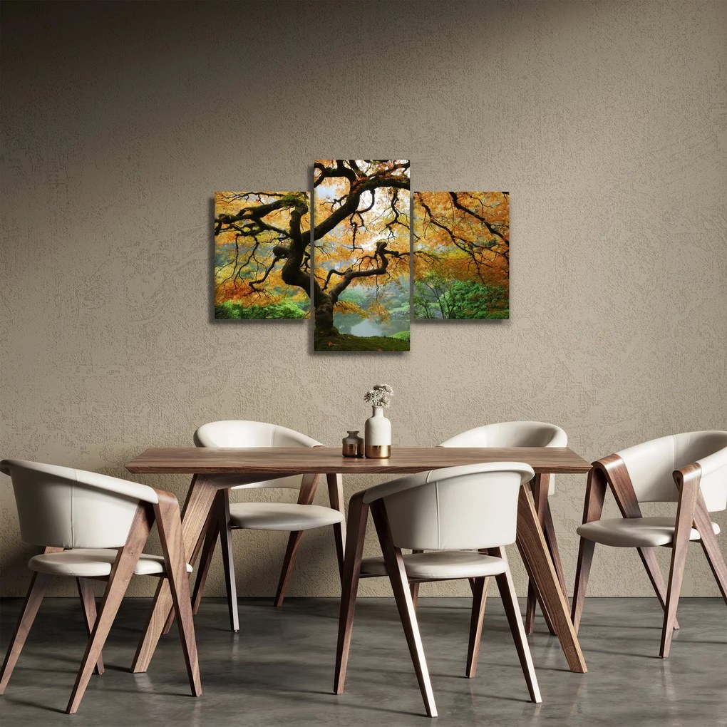 Egy sárga japán juhar képe, Portland, Oregon (90x60 cm)