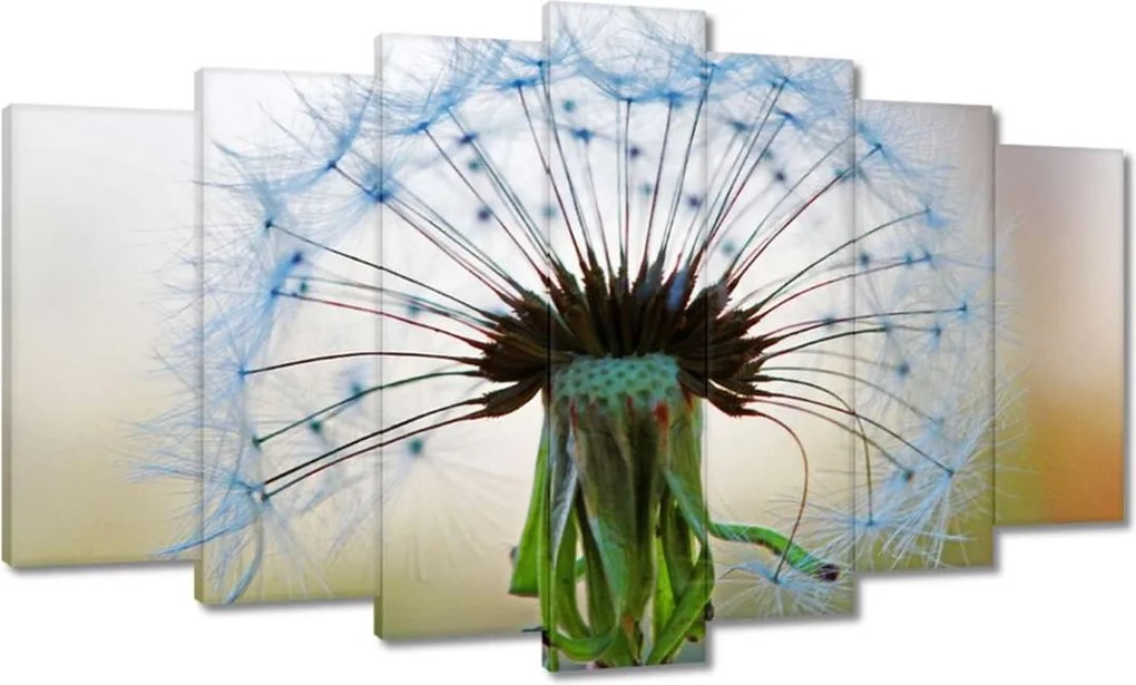 Vászonkép 140x80 Pitypang Virág Virágok