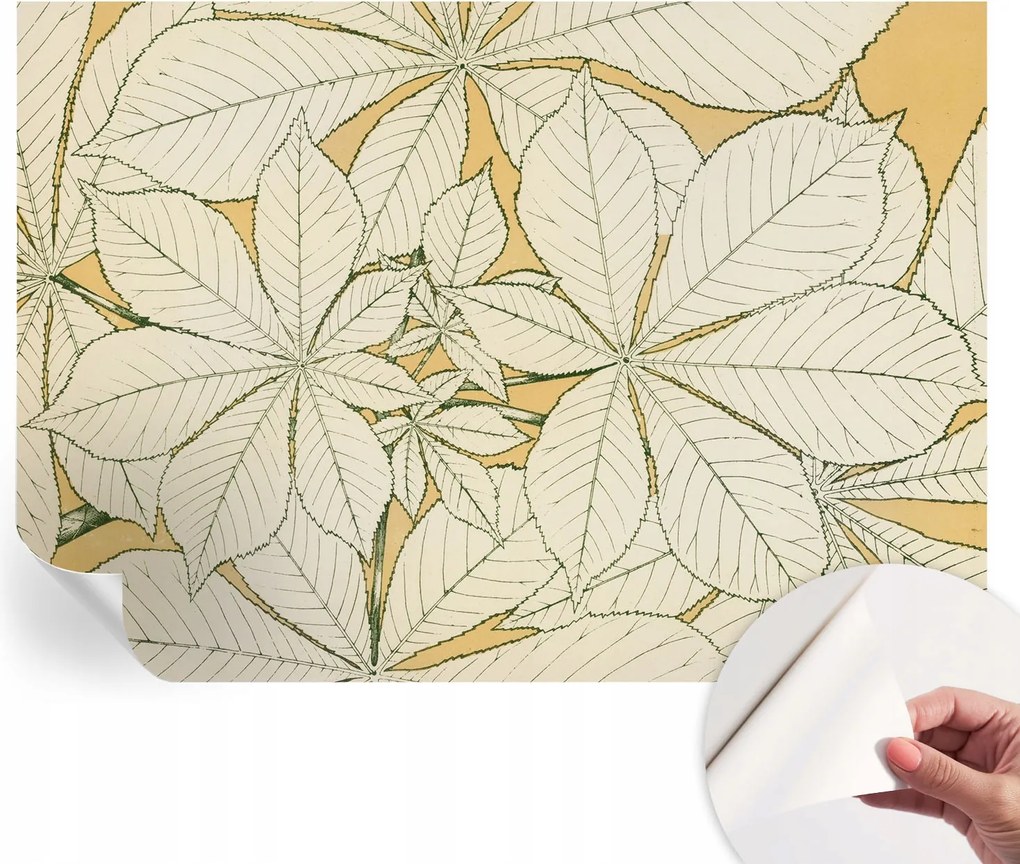 Fotótapéta Öntapadós Design Divatos Gesztenye levelek 312x219 cm