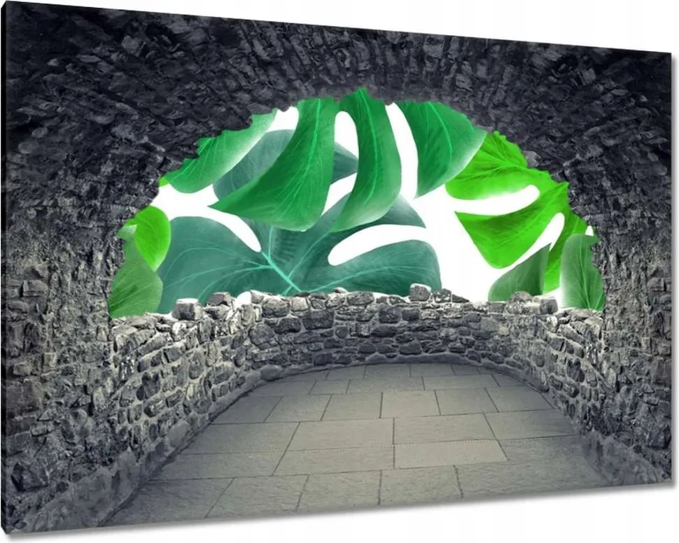 Vászonkép 60x40 Levelek Monstery Trópusok