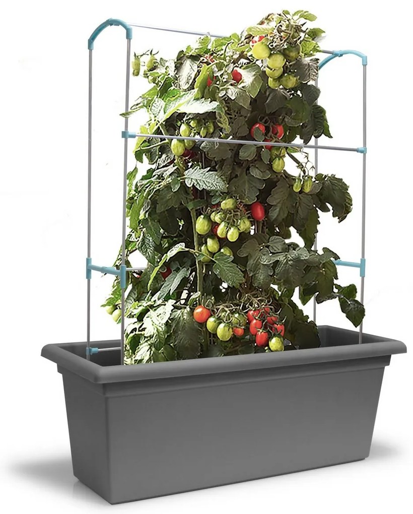 Gardenico Green Wall Magnus függőleges tartó, 100cm, 100 cm