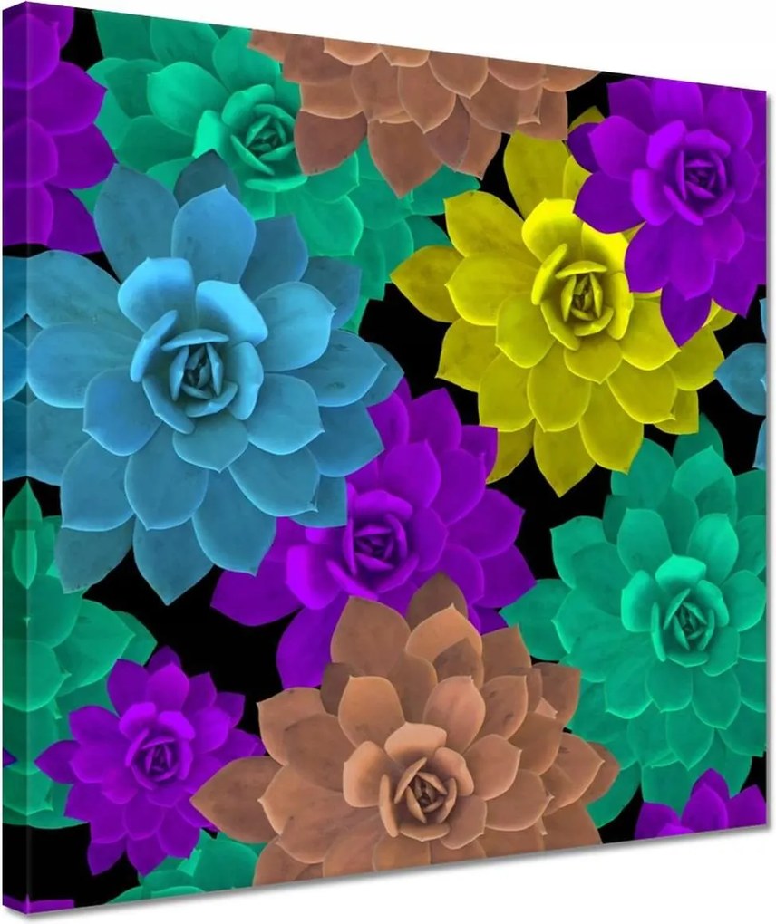 Vászonkép 30x30 Színes virágok Virágok