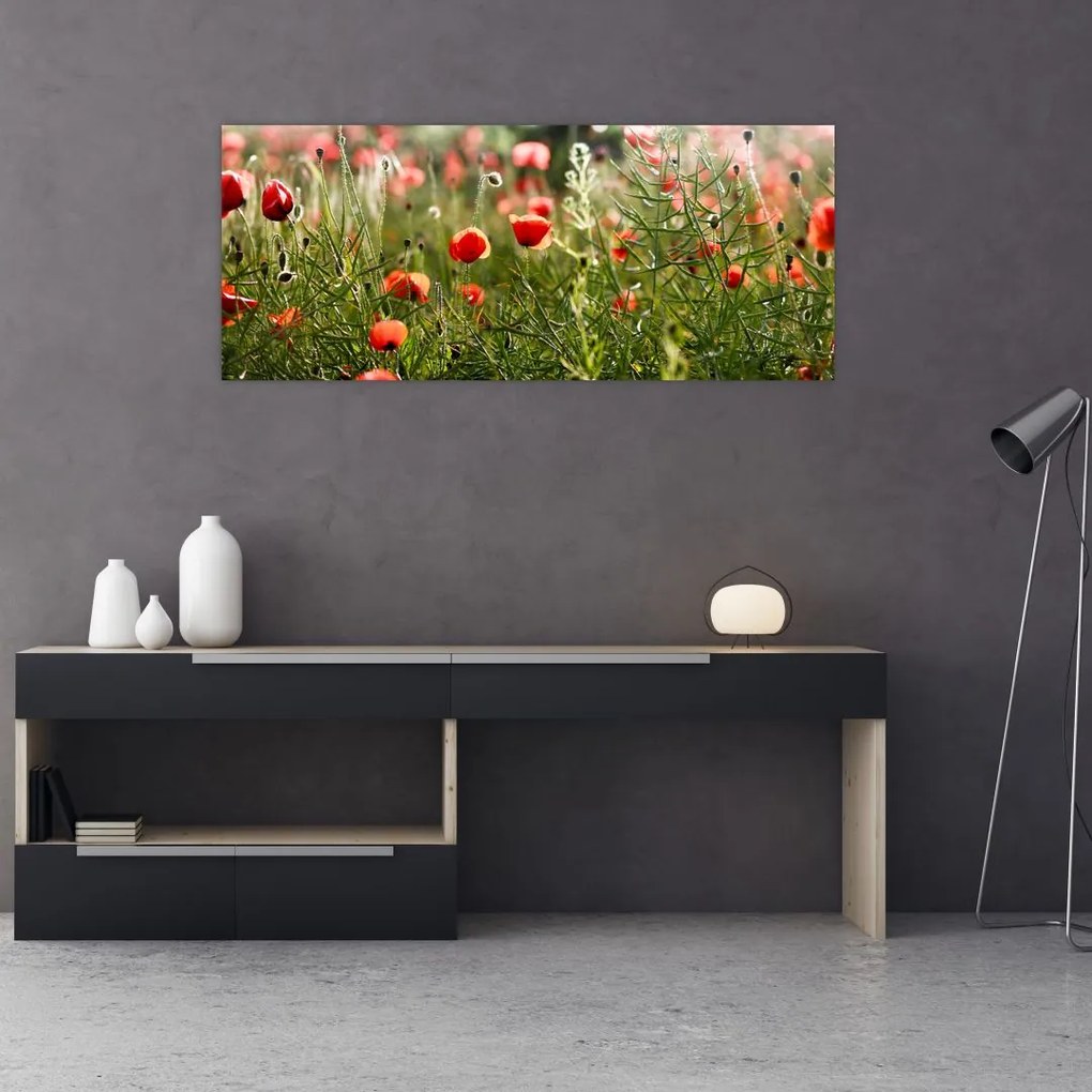 Pipacsok képe (120x50 cm)