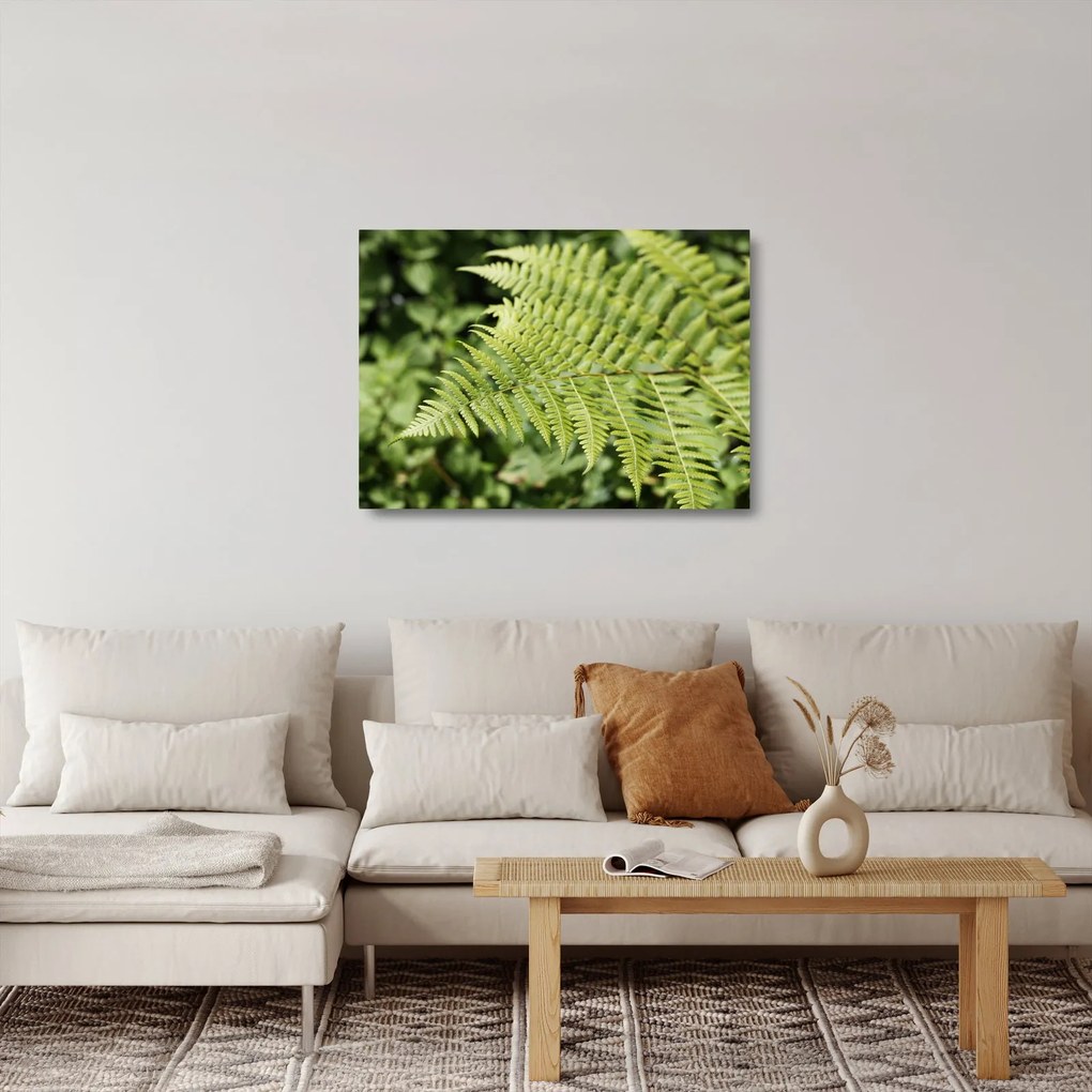 Üveg kép - Páfránylevél (70x50 cm)