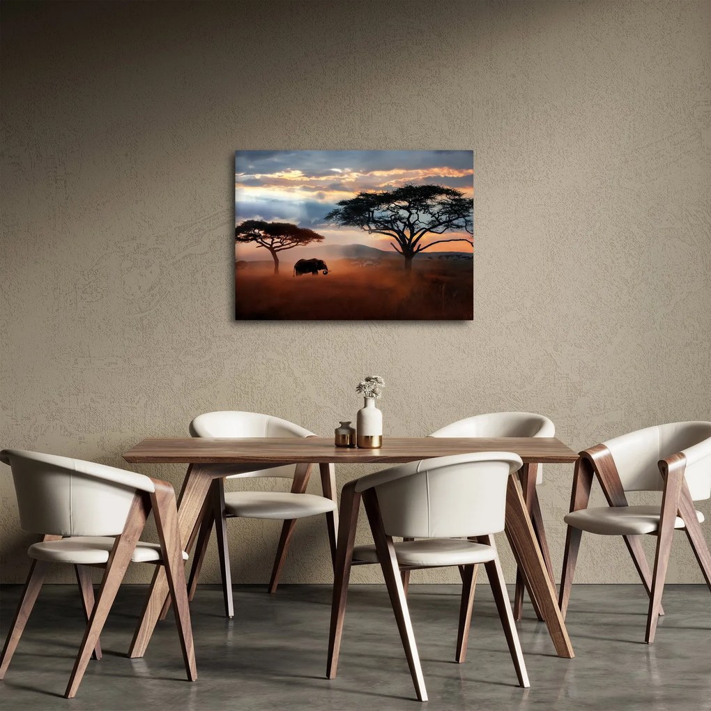 Kép - Serengeti Nemzeti Park, Tanzánia, Afrika (70x50 cm)