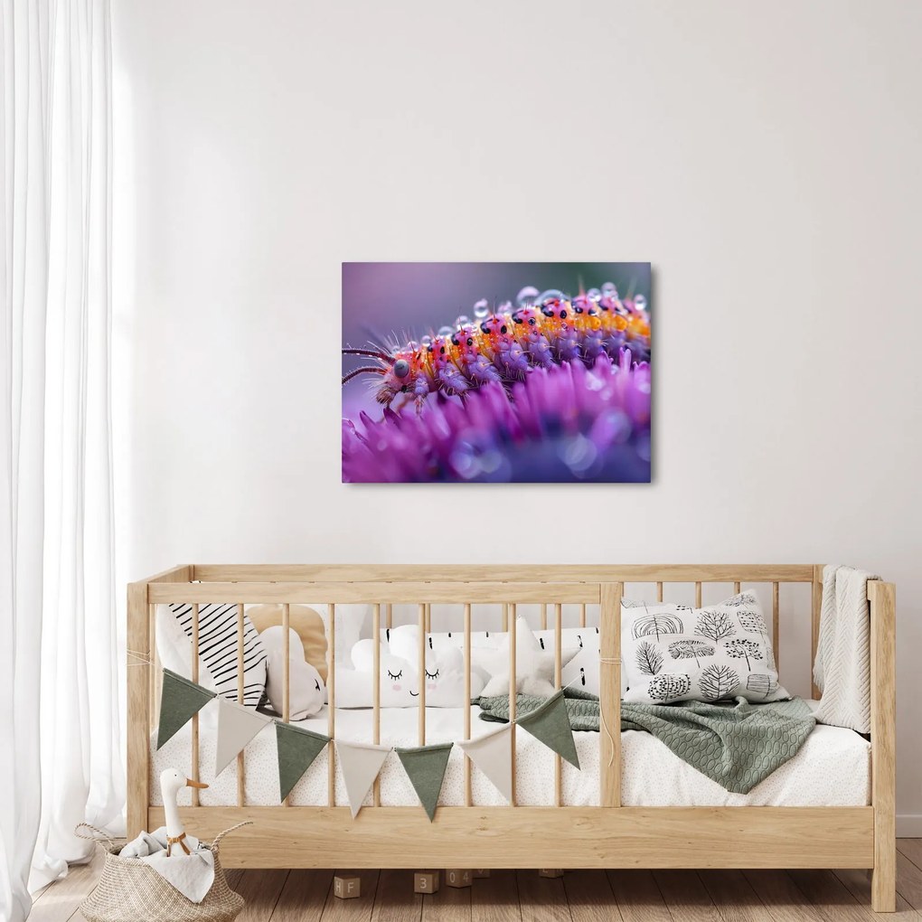 Kép - Caterpillar (70x50 cm)