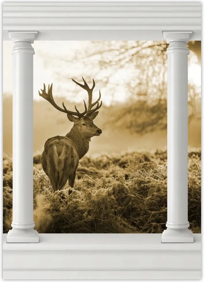 Poszterek 50x70 Szépia szarvas