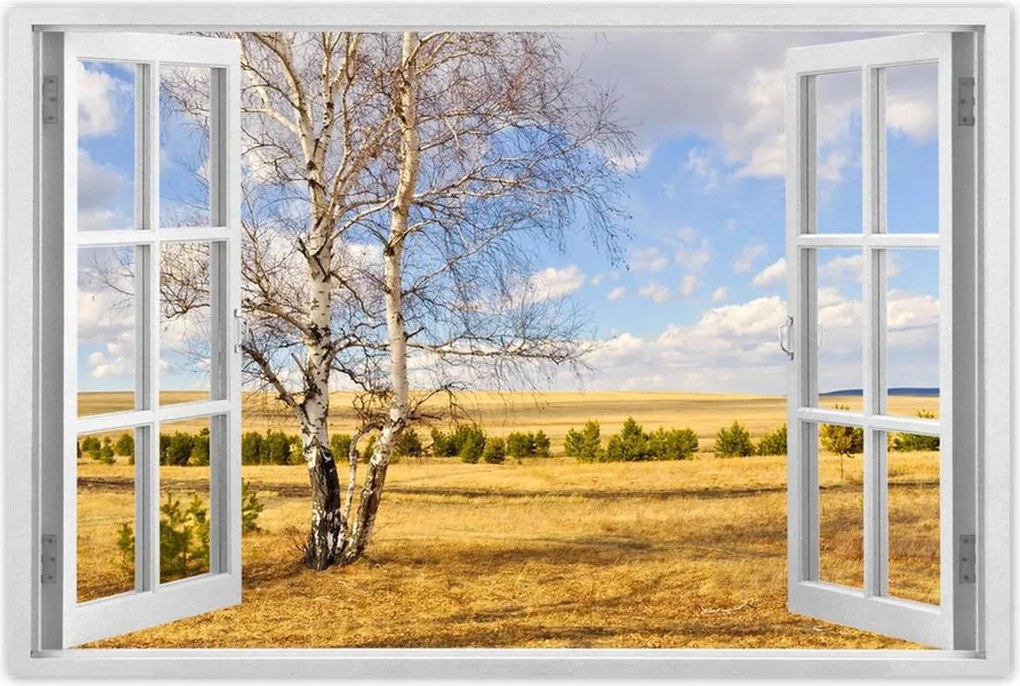 Poszterek 90x60 Nyírfa a mezőn Tájkép