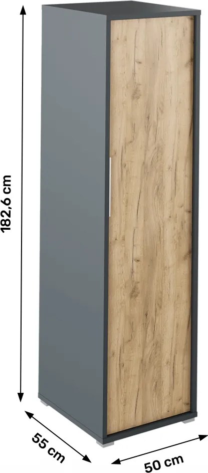 Ruhásszekrény, grafit/tölgyfa artisan, RIOMA NEW TYP 20