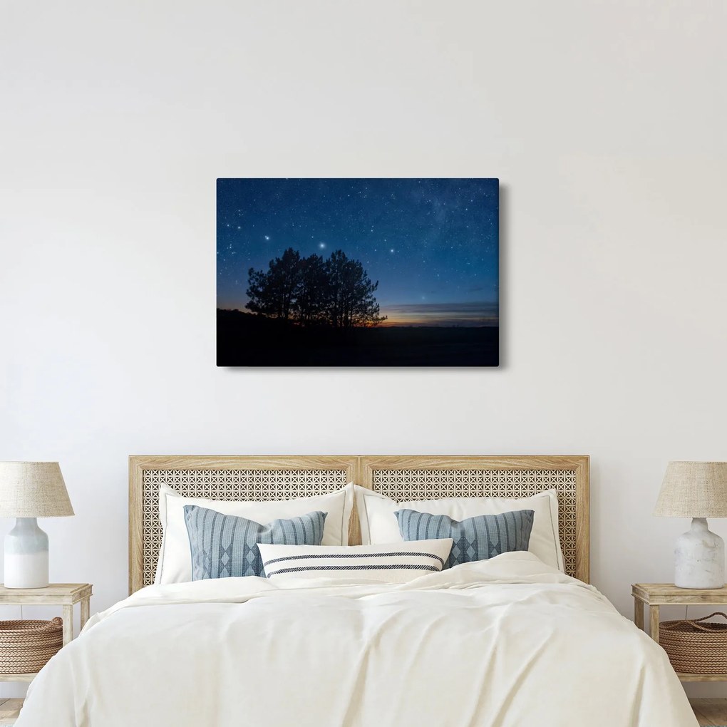 A fák éjjel képe (90x60 cm)