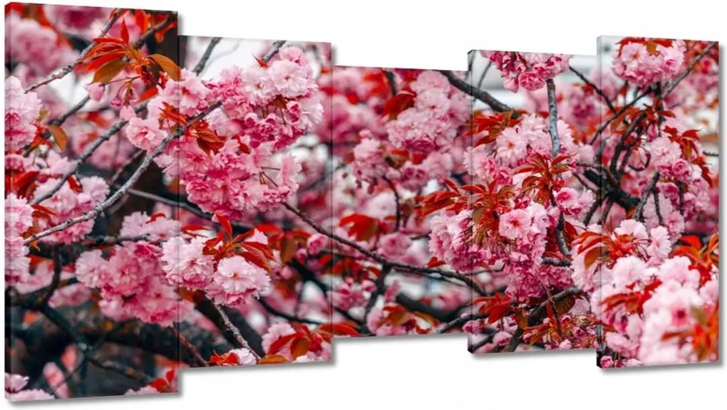 Vászonkép 150x80 Finom virágok Virágok