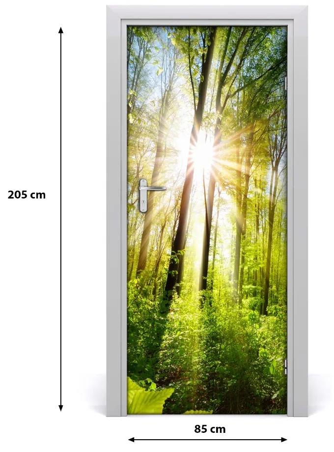Ajtómatrica Sun az erdőben 85x205 cm