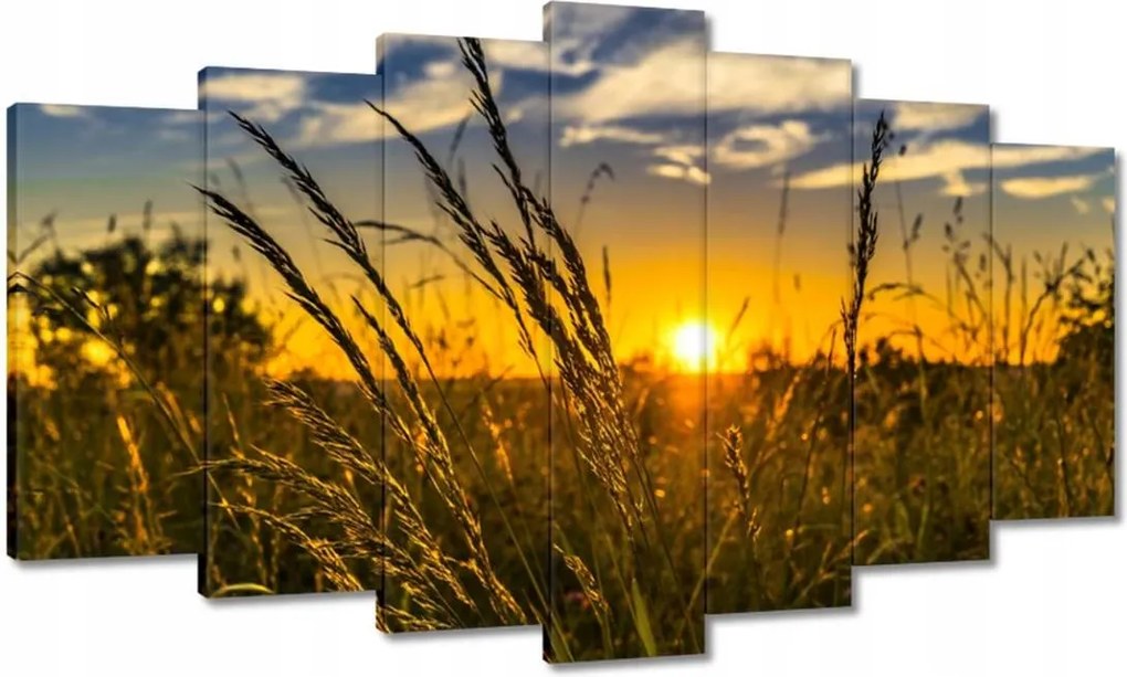 Vászonkép 140x80 Naplemente a füvek között