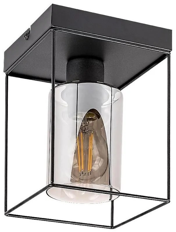 Rabalux 71031 - Mennyezeti lámpa CHADWICK 1xE27/25W/230V