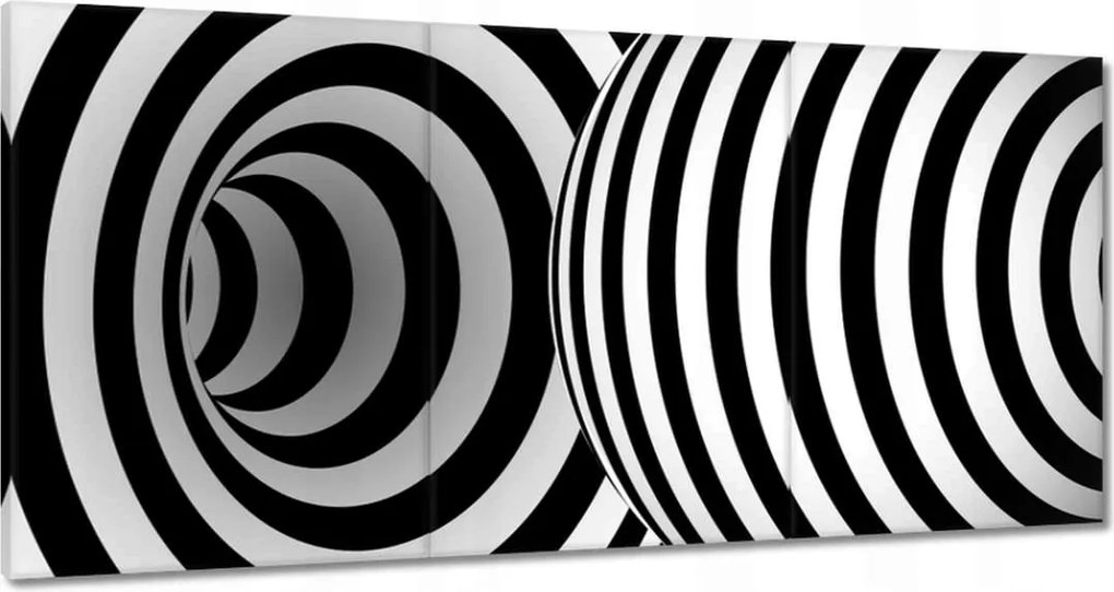 Festmények 180x90 Absztrakt fekete-fehér