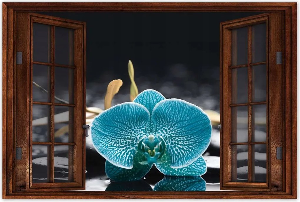 Poszter 60x40 Türkiz orchidea Virág