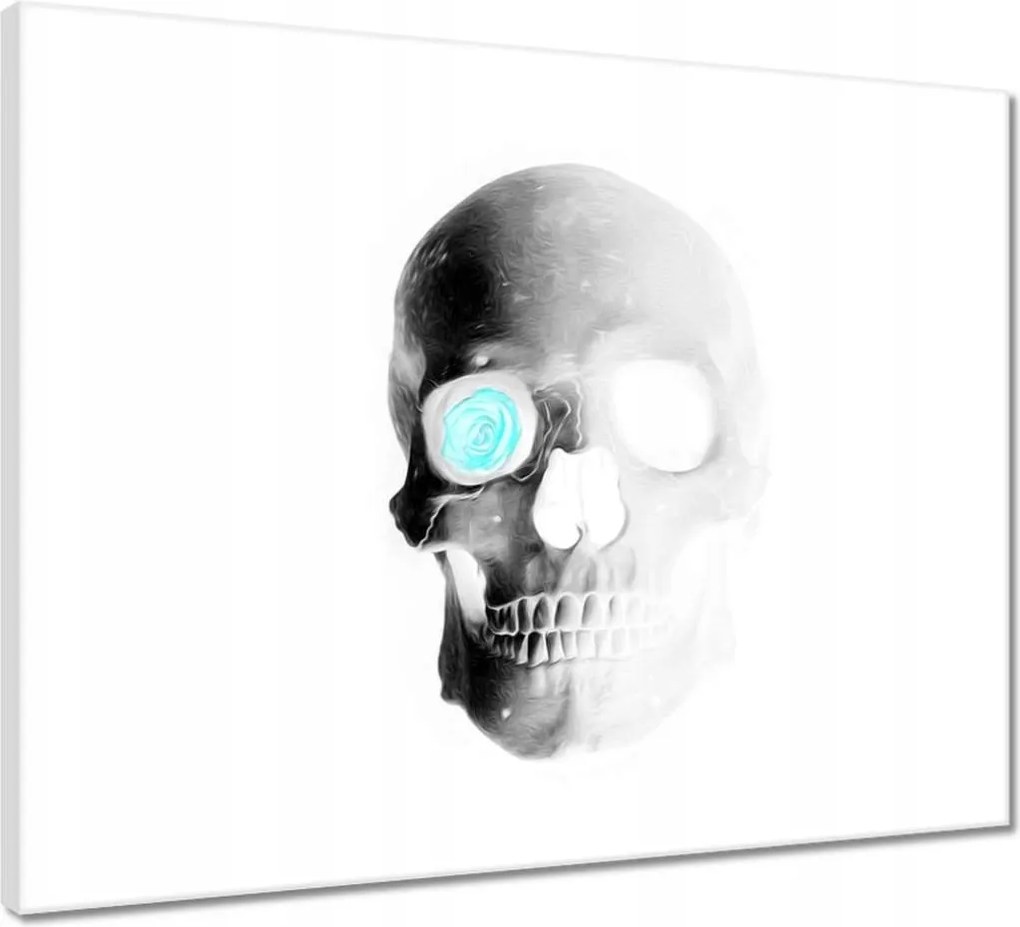 Vászonkép 50x40 Koponya rózsával Rózsa