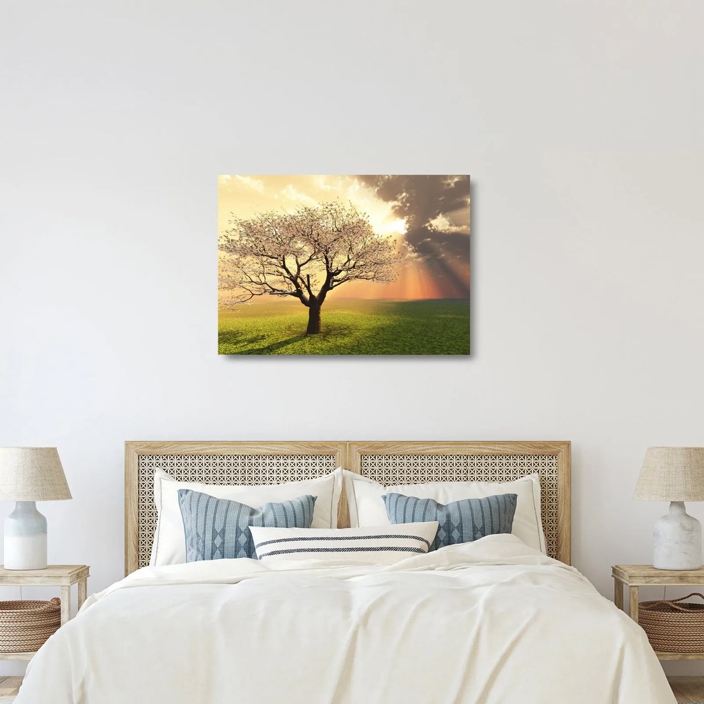 Fa képe a réten (üvegen) (70x50 cm)