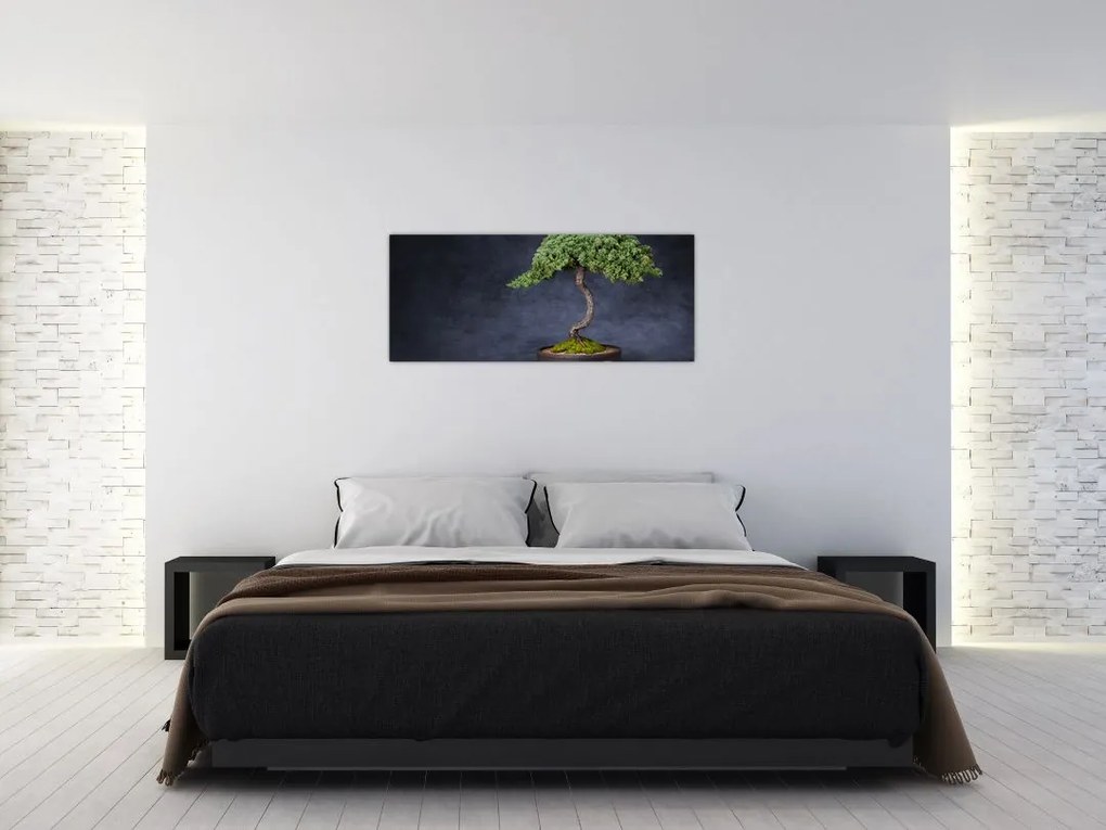 Kép - Bonsai (120x50 cm)