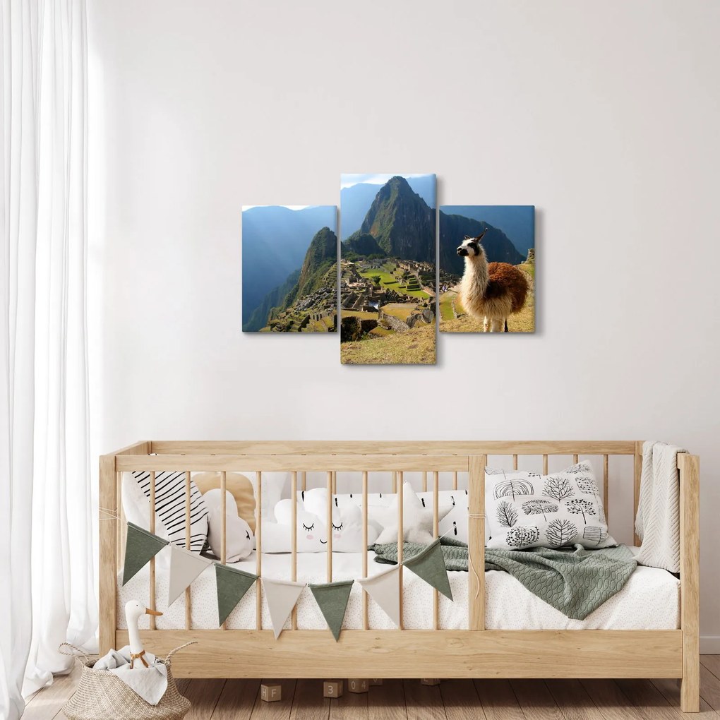 Kép - Láma és Machu Picchu (90x60 cm)
