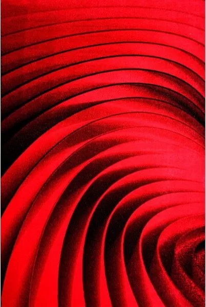 Kolibri szőnyeg  11006-120