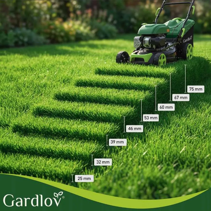 Benzinmotoros fűnyíró hajtással GARDLOV DriveX - 149 cm³, 50 l-es kosárral