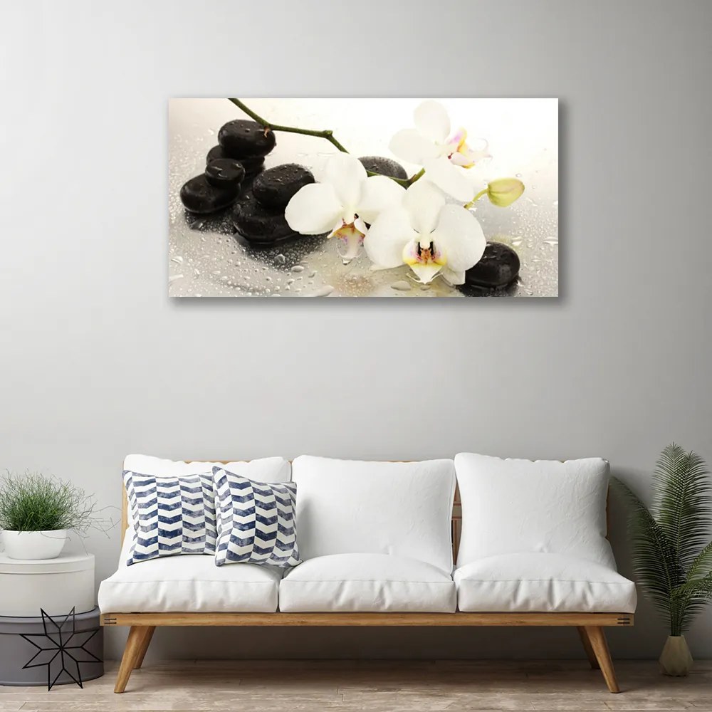 Vászonkép falra Szép virág orchidea 100x50 cm