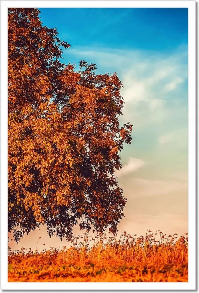 Poszterek keretben 40x60 Őszi színek Tájkép