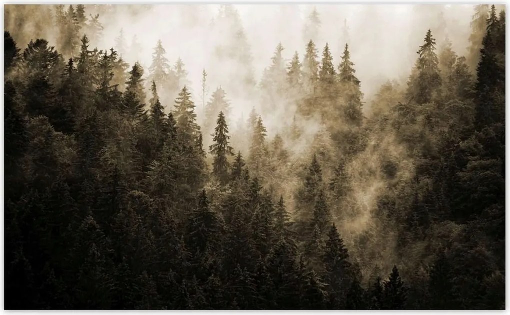 Fotótapéták 520x318 Tájkép Szépia Hegyek Köd