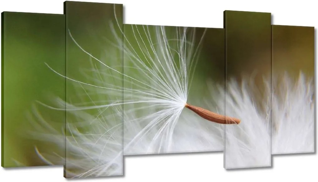 Vászonkép 120x65 Pitypang Virág Virágok