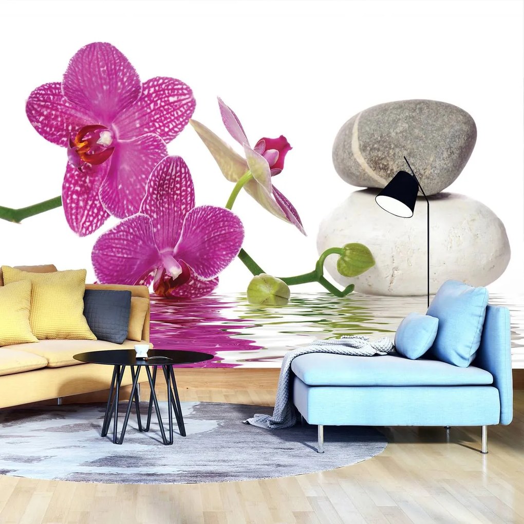 Fotótapéta - Orchideák (152,5x104 cm)