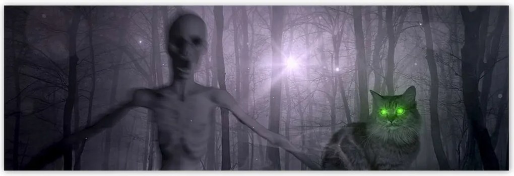 Poszterek 200x66 Macska Alien Lime Macskák