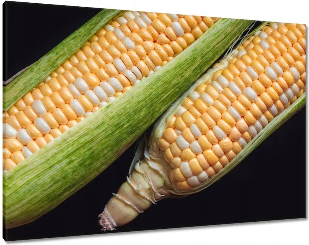 Vászonkép 100x70 Két kukoricacsutka