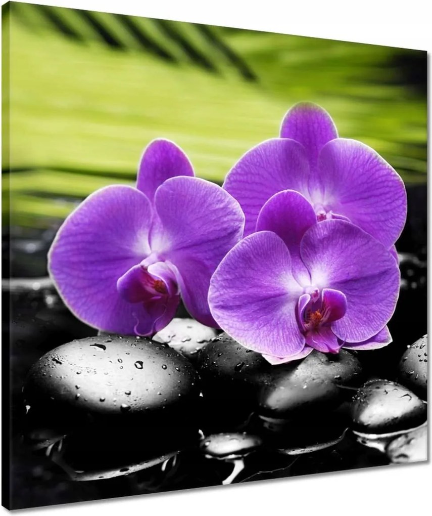 Vászonkép 50x50 Orchideák a köveken