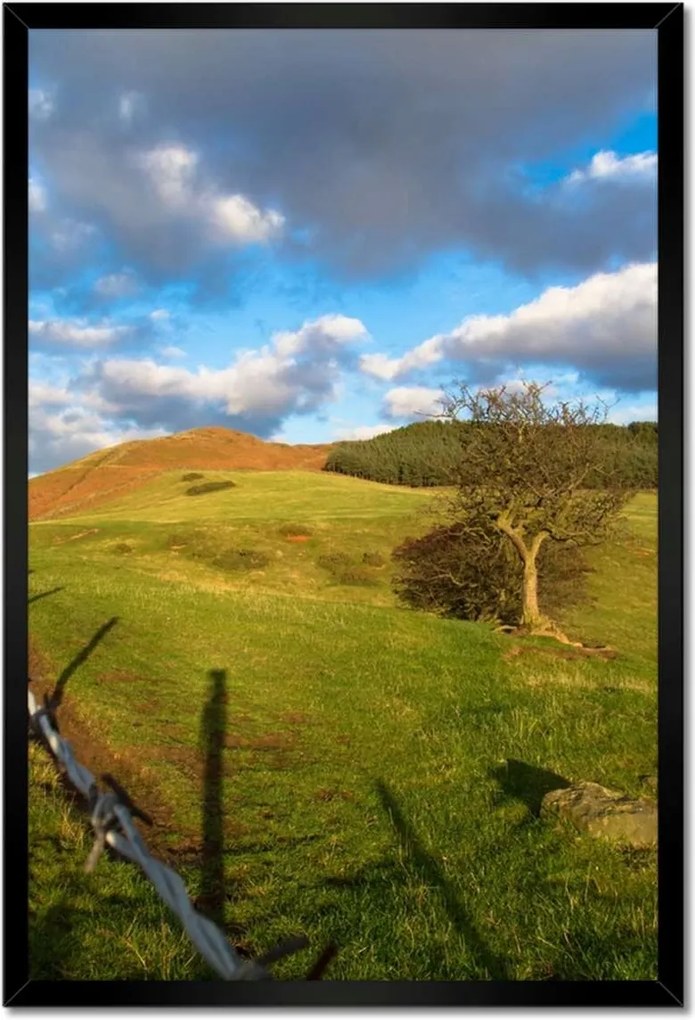 Poszterek keretben 40x60 Tájkép réttel