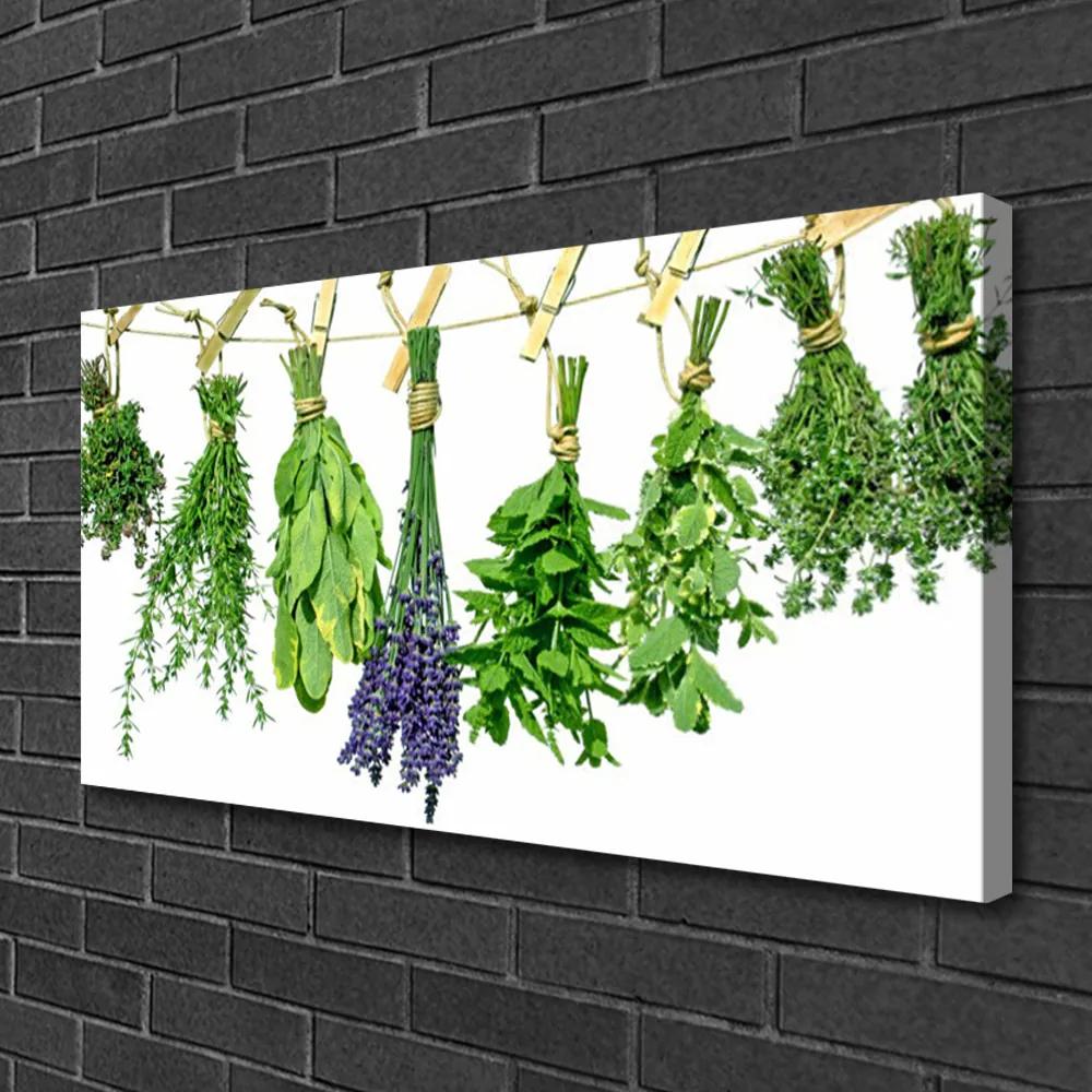 Vászonfotó Szirmok virágok Gyógynövények 100x50 cm