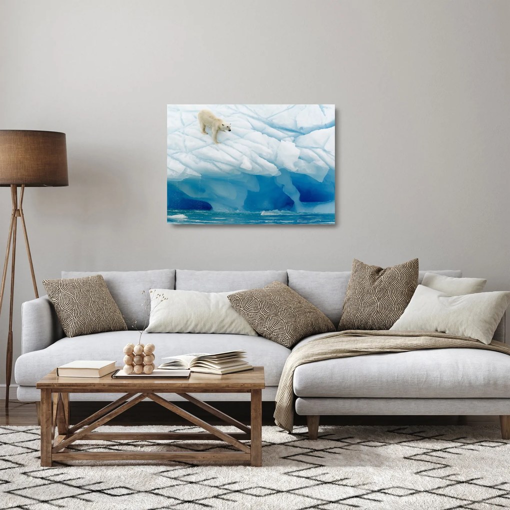 Üveg kép - Jegesmedve (70x50 cm)