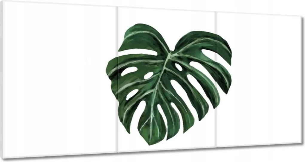 Vászonkép 120x60 Monstera deliciosa Levél