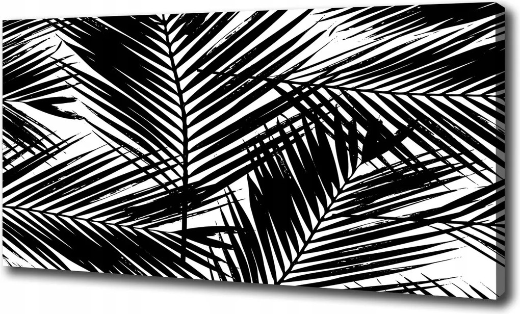 Nagyméretű vászonkép Pálmalevelek 120x60 cm