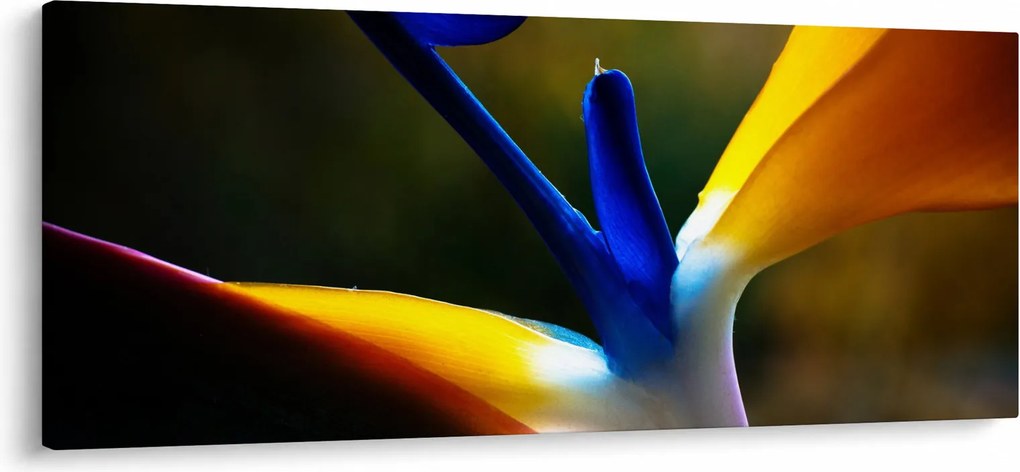 Kép - Egzotikus virág (120x50 cm)