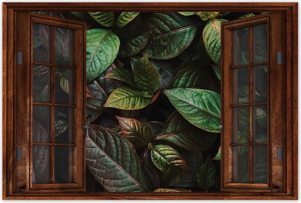 Poszterek 60x40 Trópusi levelek Levelek