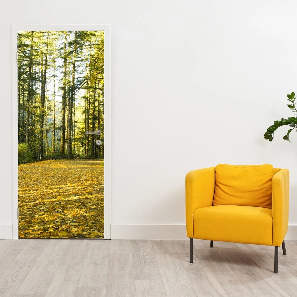Fotótapéta ajtóra - Erdő ősszel (95x205cm)